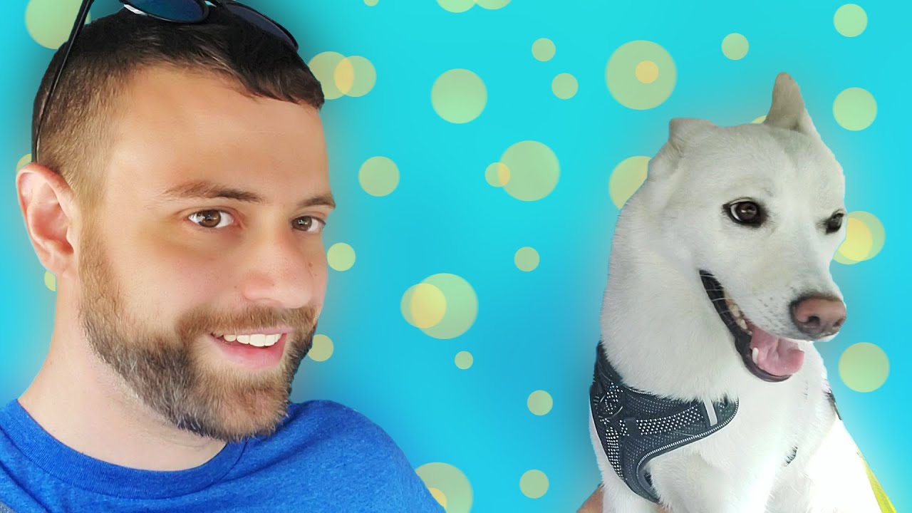 Husky pulls me on my bike! mushing with Maya YouTube