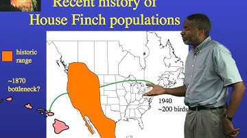 Scott Edwards (Harvard) Part 3: Genomics of host-parasite co-evolution