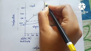 BINARY SYSTEM / SOLID SOLUTION /Ab_An SOLID SOLUTION/एल्बाइट एनोर्थाइट सॉलिड सॉल्यूशन/बायनरी सिस्टम
