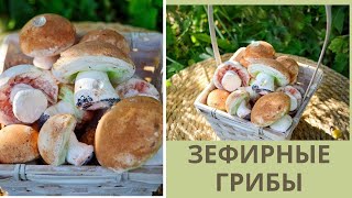 МК Часть 1🍄 ЗЕФИРНЫЕ ГРИБОЧКИ от Натальи Колбасовой🍄Мarshmallow mushrooms