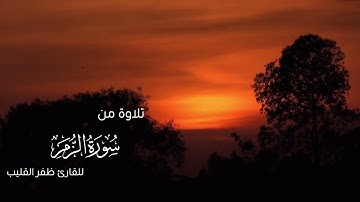 ﴿يحذر الآخرة ويرجو رحمة ربه..﴾ تلاوة تأخذ بالألباب من سورة الزمر للشيخ ظفر القليب | من فروض ١٤٤١هـ