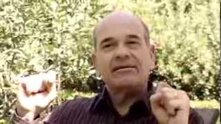 Interview with actor/volunteer Robert Picardo