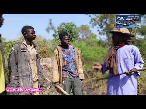 ผลสลากกินแบ่งรัฐบาล วันที่ 1 พย. 2567