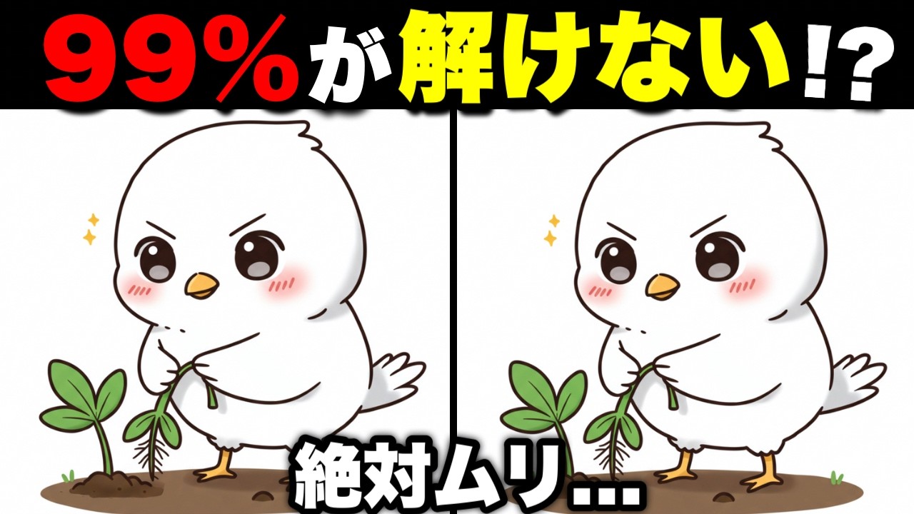 【イラスト間違い探し】簡単で面白い！無料で出来るレクリエーション【認知症予防/老化防止】