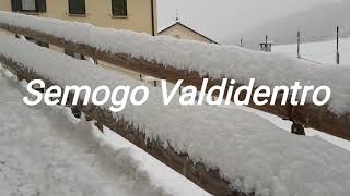 Semogo 11.12.17