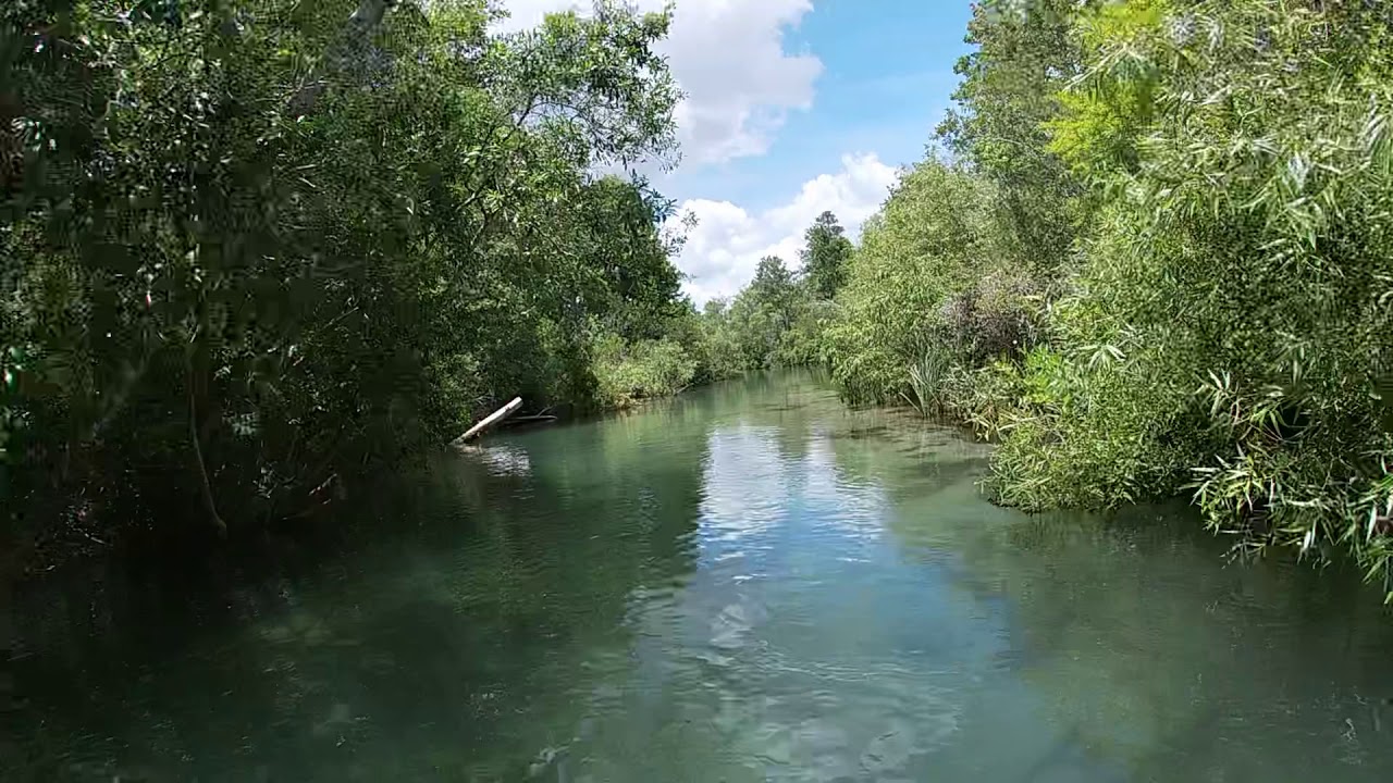 Weeki Wachee River YouTube