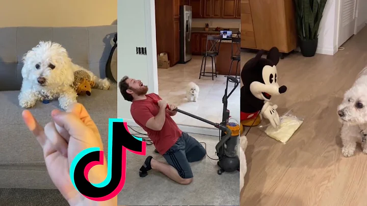 Quincys Funniest TikToks of 2021!