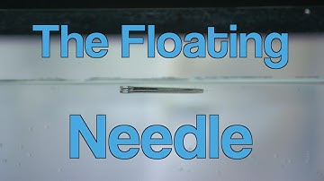 The Floating Needle | A Moment of Science | PBS