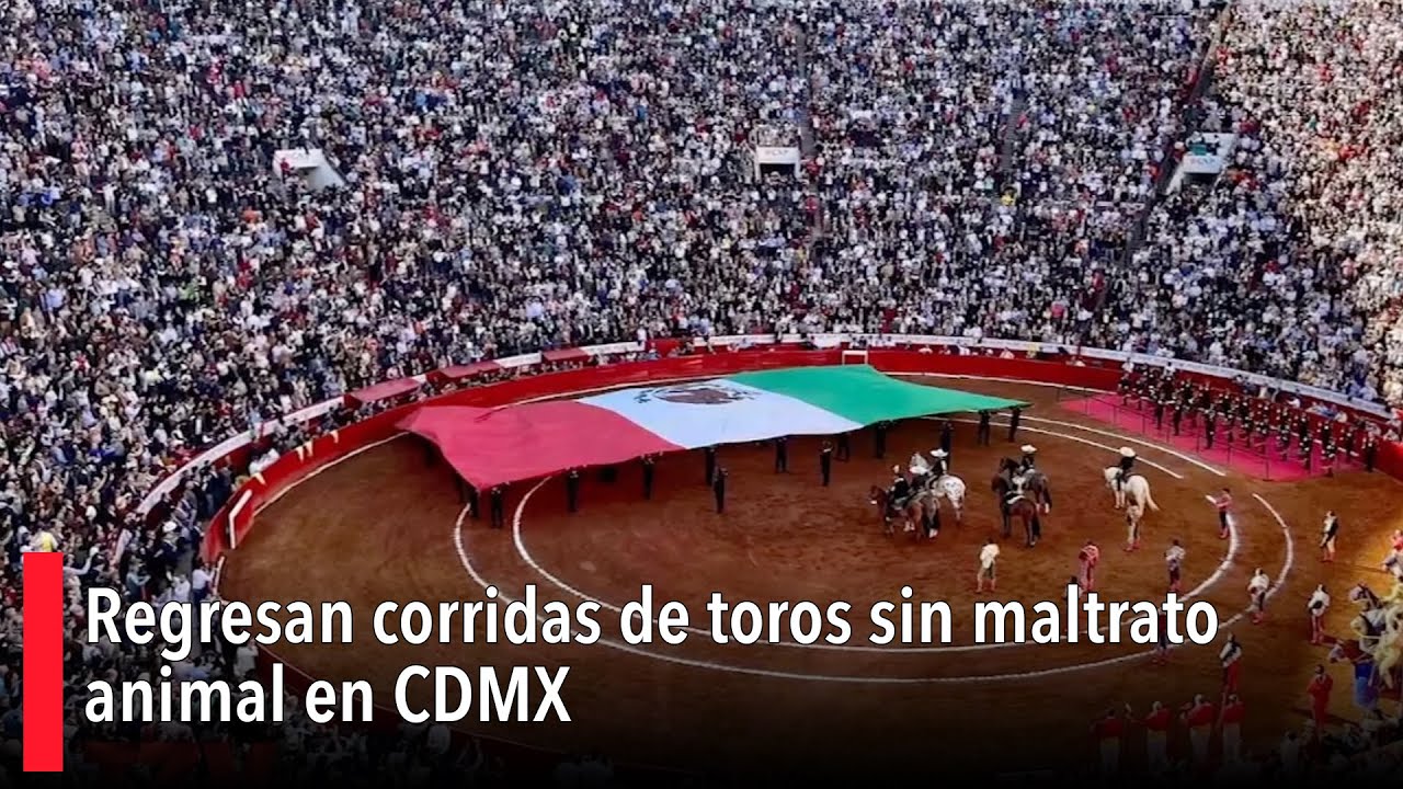 Regresan corridas de toros sin maltrato animal en CDMX - YouTube