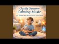 Gentle Sensory Calming Music for Autism and ADHD Focus Relaxation