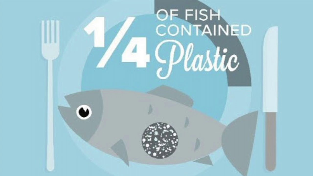 The Great Pacific Garbage Patch Explained YouTube