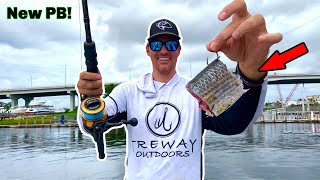 GIANT Cut Bait for MONSTER Bayou FISH! **Size of the Boat**