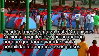 CNDH NOTICIAS (Programa 325)