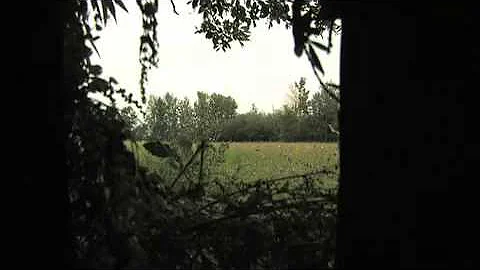 Best Of - Scott Swanson Canada Bow Hunt