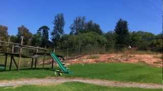 Extreme Solo Pro 328 with 120SR/328 flybar vid 2