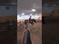 she decided to ignore my half halt so she got to sort out her own distance lol