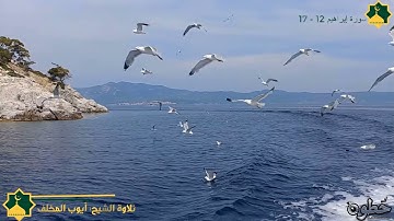 سورة إبراهيم من الآية 12-17