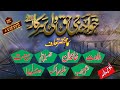 Haq wali sarkar ka taaruf         documentary  abu abdullah