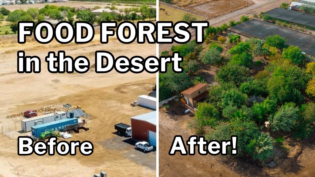 DESERT FOOD FOREST: He Picks Fruit Every Day of the Year!