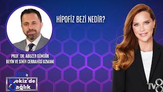 HİPOFİZ BEZİ NEDİR?| PROF. DR. ABUZER GÜNGÖR | 8'de Sağlık