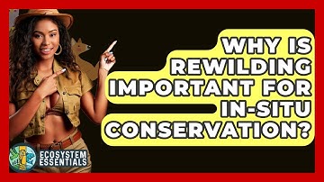 Why Is Rewilding Important For In-situ Conservation? - Ecosystem Essentials