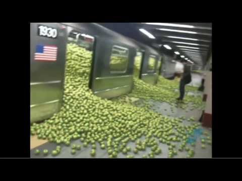 ⁣City Harvest - Subway Apples | Spot