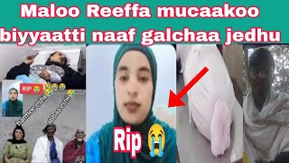 Download lagu Maloo Reeffa mucaakoo biyyaatti naaf galchaa jedhu biyya Saud arabiati d**te😭😭