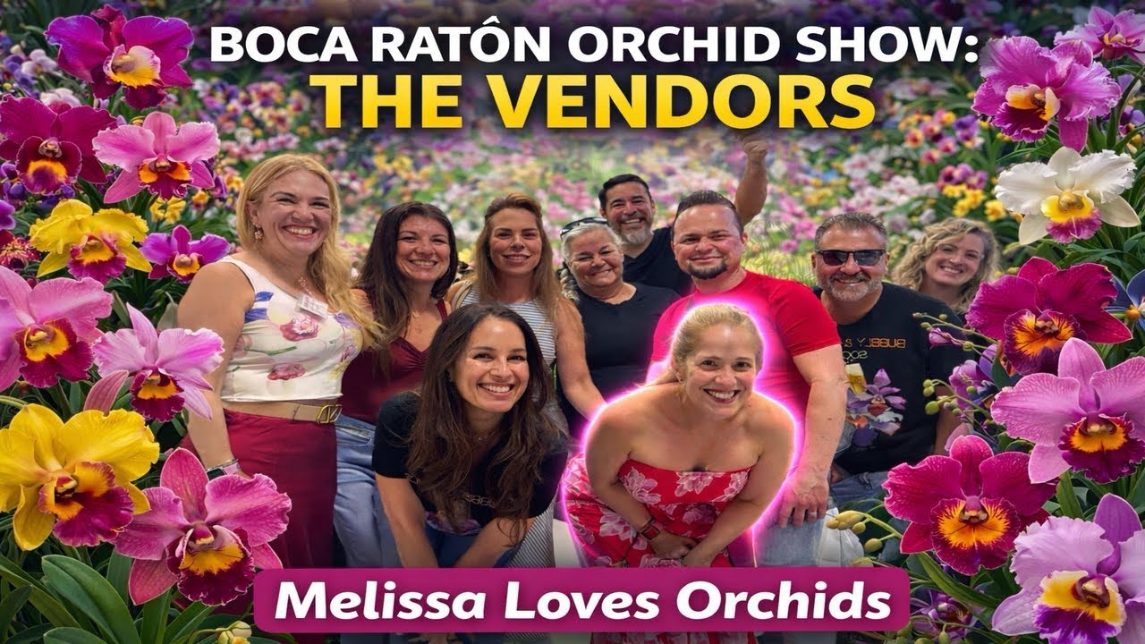 The 2026 Boca Ratón Orchid Show: The Vendors 