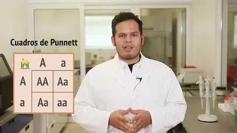 Understanding Genetically Modified Organisms