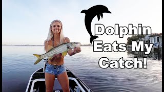 Sunrise Fishing Around Docks - Topwater Blow Ups