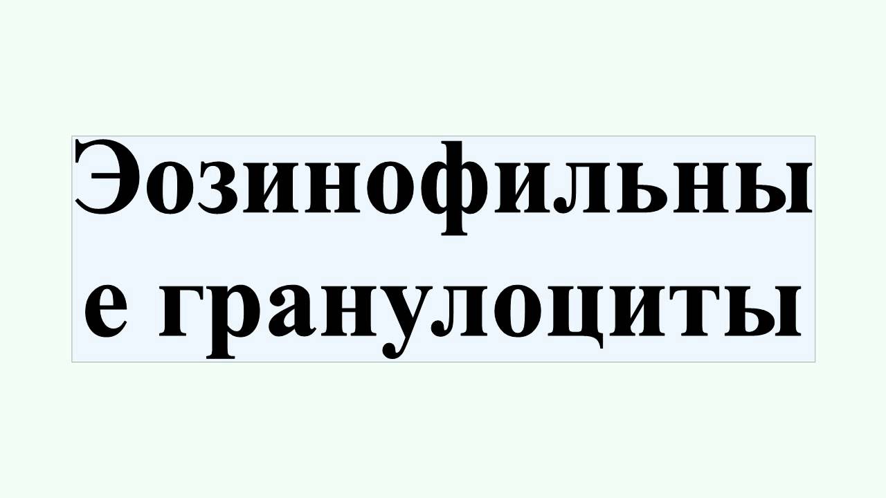 Эозинофильные гранулоциты