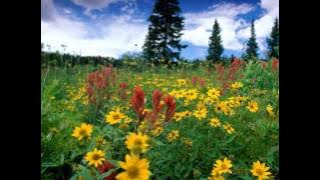 Peran van Dijk - Good Time (Cream Team Remix)