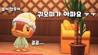 [모동숲] 귀오미가 아픈날 ㅜㅜ ? (근데 아파도 닉값하는 귀오미)