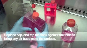 Seeding the HYPERFlask® Vessel- Part 1 (Japanese)