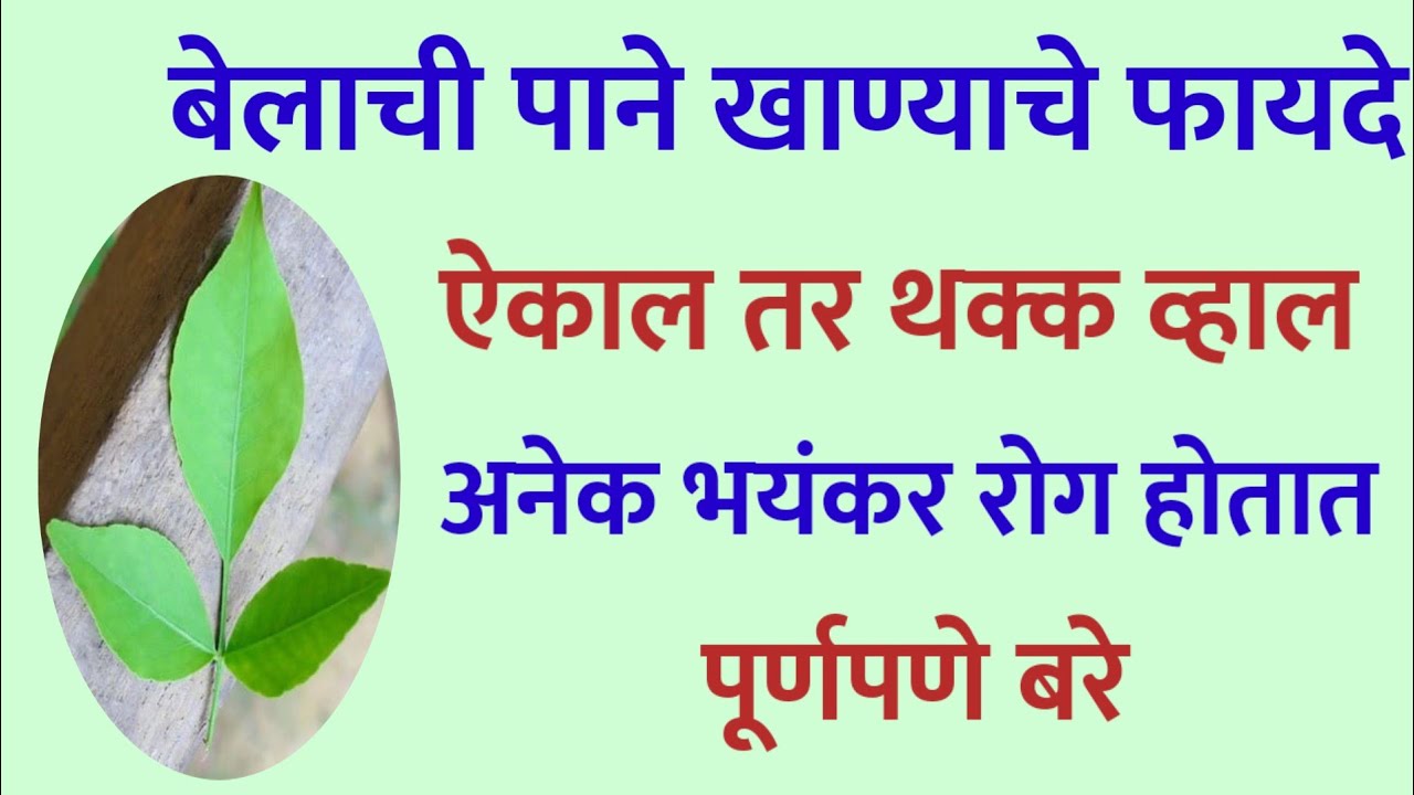 Benefits Of Eating Bela Leaves benefits-of-eating-bela-leaves