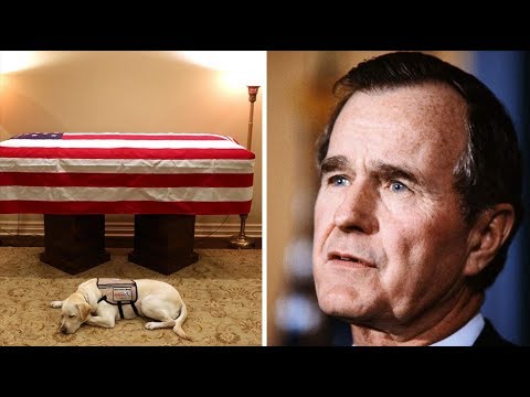 Video: George HW Bushs Hund