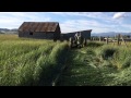 Cutting Grass with the John Deere A and No 5 Mower