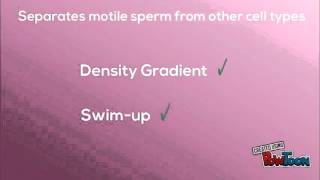 Density Gradients