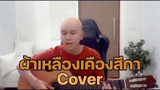 Video thumbnail of "ผ้าเหลืองเคืองสีกา| หมูเติ้ล Buffet  |「Cover by Parkmalody 」"