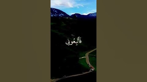 حالات واتس اب مؤثرة | اية تهز قلبك بصوت القارئ | Quran Status, 91 (2)