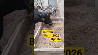 Farming updates 2026