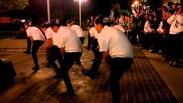 Lambda Theta Nu Step Owt Part 2