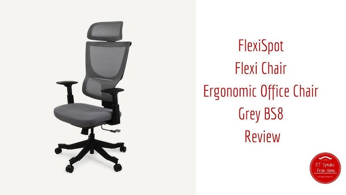 FlexiSpot Soutien Ergonomic Office Desk Chair Grey