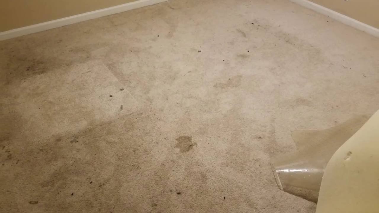 Marietta Ga Carpet Cleaning YouTube