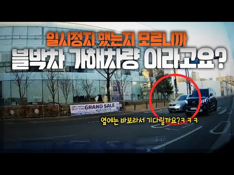 사고와 관련도 없는 <strong>일시정지</strong> 확인한다고 이의신청 뺑뺑이만 하셨네요
