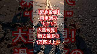 【緊急警告】東京港で“ヒアリ”大量発見！過去最多の1万匹以上⁉️#都市伝説 #shorts #名言#言葉#人生#名言#格言#名言集#格言集#言葉の力#自己啓発#知恵