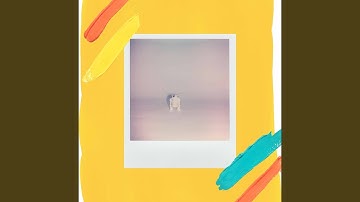 Sumptuous Backdrops for Digital Dreams