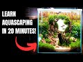 2024 complete aquascaping beginners guide  learn all the basics