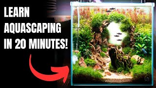 2024 Complete Aquascaping Beginners Guide - Learn ALL The Basics!
