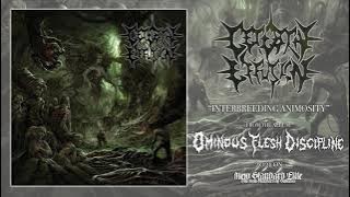 Cerebral Effusion - 'Interbreeding Animosity' (Ominous Flesh Discipline | NSE 2021)